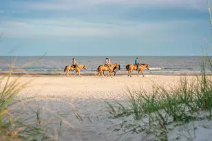 197 Cape Pointe Dr, Port Saint Joe, FL 32456 - Photo 55