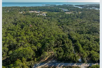 711 NE Ave H, Carrabelle, FL 32322 - Photo 13