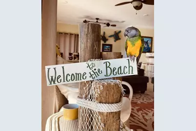 1912 Nautilus Dr, Saint George Island, FL 32328 - Photo 55
