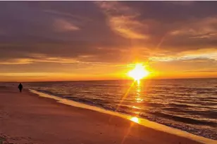 1912 Nautilus Dr, Saint George Island, FL 32328 - Photo 7