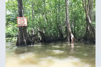 295 S Squirrel Ave, Wewahitchka, FL 32465 - Photo 7