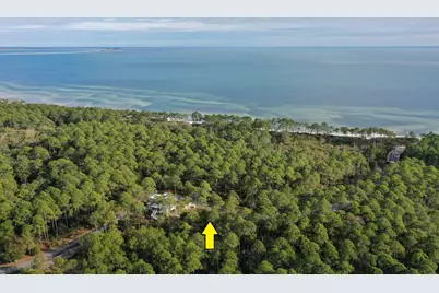 160 Bunkhouse Dr, Saint Teresa, FL 32358 - Photo 29