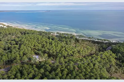 160 Bunkhouse Dr, Saint Teresa, FL 32358 - Photo 35