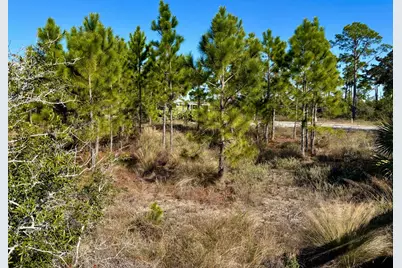 103 Whirlwind Ct, Port Saint Joe, FL 32456 - Photo 7