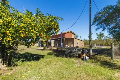 260 Our Town Rd, Wewahitchka, FL 32465 - Photo 21