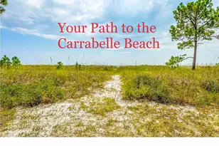 1764 Carrabelle Beach Dr, Carrabelle, FL 32322 - Photo 25