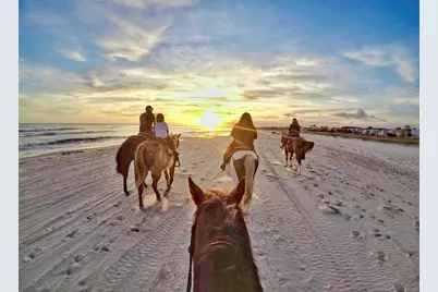 152 McCosh Mill Rd, Port Saint Joe, FL 32456 - Photo 83