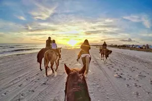 152 McCosh Mill Rd, Port Saint Joe, FL 32456 - Photo 83