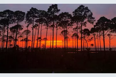4905 Sr 30-A, Port Saint Joe, FL 32456 - Photo 3