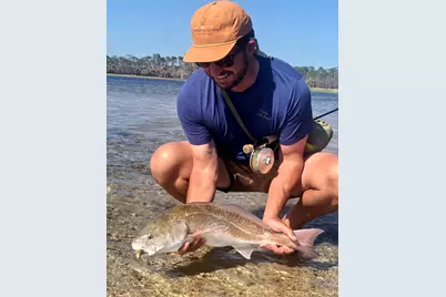 4905 Sr 30-A, Port Saint Joe, FL 32456 - Photo 59