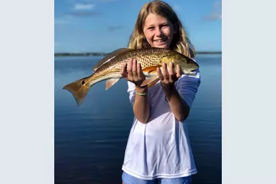 4905 Sr 30-A, Port Saint Joe, FL 32456 - Photo 5