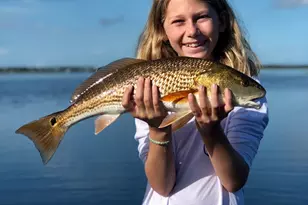 4905 Sr 30-A, Port Saint Joe, FL 32456 - Photo 5