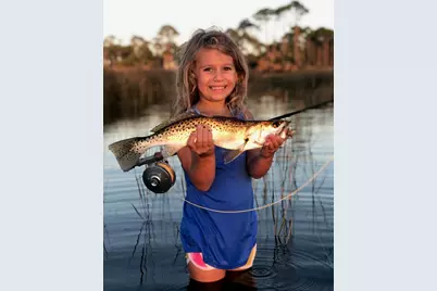 4905 Sr 30-A, Port Saint Joe, FL 32456 - Photo 49