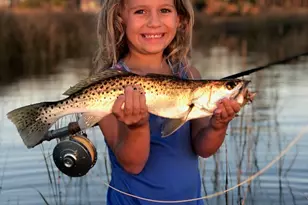 4905 Sr 30-A, Port Saint Joe, FL 32456 - Photo 49