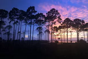 4905 Sr 30-A, Port Saint Joe, FL 32456 - Photo 59