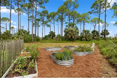 4905 Sr 30-A, Port Saint Joe, FL 32456 - Photo 55