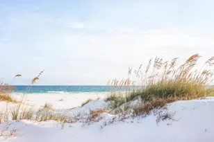 2719 Sr 30-A, Port Saint Joe, FL 32456 - Photo 69