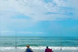 2719 Sr 30-A, Port Saint Joe, FL 32456 - Photo 71