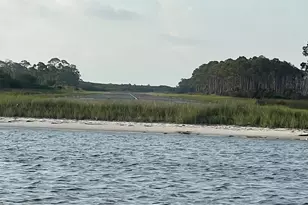 1800 Denise Ct E, Saint George Island, FL 32328 - Photo 53