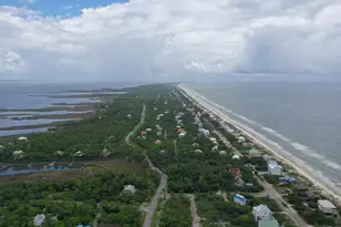 1800 Denise Ct E, Saint George Island, FL 32328 - Photo 45