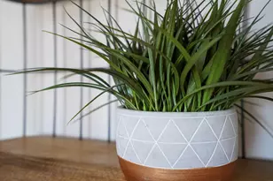 9045 Hwy 98 W, Port Saint Joe, FL 32456 - Photo 41