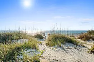 219 Haven Rd, Port Saint Joe, FL 32456 - Photo 41