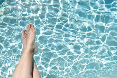 147 Winding Trail Way, Saint Teresa, FL 32358 - Photo 19