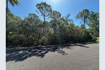 147 Winding Trail Way, Saint Teresa, FL 32358 - Photo 3