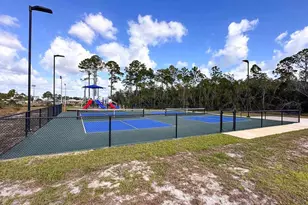 185 Palmetto Blf Trl, Port Saint Joe, FL 32456 - Photo 37