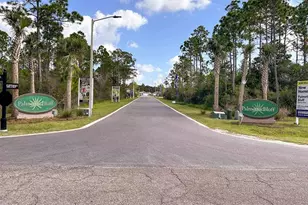 185 Palmetto Blf Trl, Port Saint Joe, FL 32456 - Photo 35