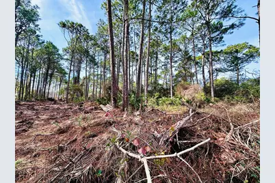 164 Daisey St, Eastpoint, FL 32328 - Photo 7