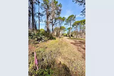 164 Daisey St, Eastpoint, FL 32328 - Photo 3