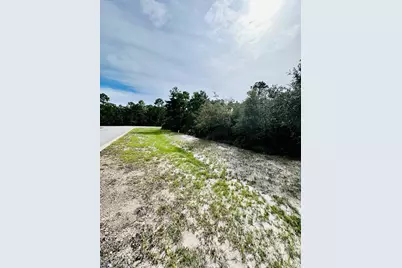 158 Singleleaf Rd, Eastpoint, FL 32328 - Photo 5
