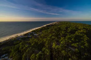 197 Cape Pointe Dr, Cape San Blas, FL 32456 - Photo 31