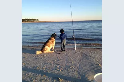 2298 Indian Pass Rd, Port Saint Joe, FL 32456 - Photo 53