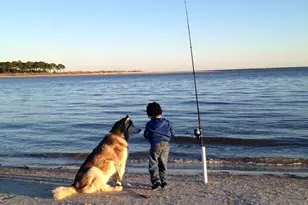 2298 Indian Pass Rd, Port Saint Joe, FL 32456 - Photo 53