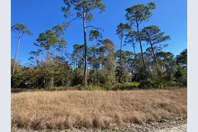 Lot 3 Hwy 98 E, Port Saint Joe, FL 32456 - Photo 3