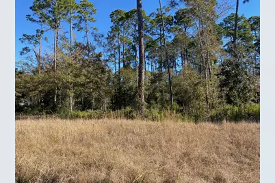 Lot 3 Hwy 98 E, Port Saint Joe, FL 32456 - Photo 7