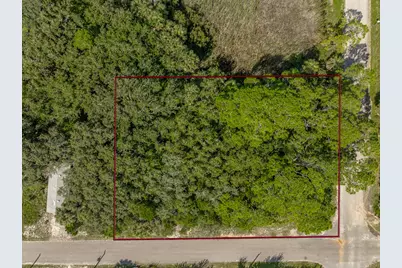 480 E Pine Ave, Saint George Island, FL 32328 - Photo 5