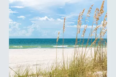 Lot 6 Margies Ln, Wewahitchka, FL 32465 - Photo 7