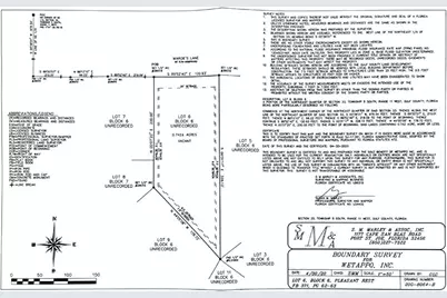 Lot 6 Margies Ln, Wewahitchka, FL 32465 - Photo 5