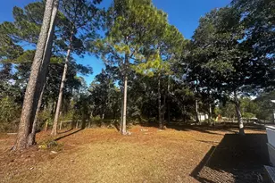 119 Old Ferry Dock Rd, Eastpoint, FL 32328 - Photo 33