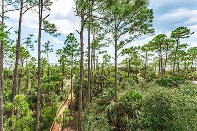 1580 Indian Pass Rd, Port Saint Joe, FL 32456 - Photo 29