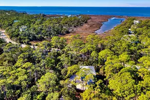 1856 W Suzie Ct, Saint George Island, FL 32328 - Photo 37