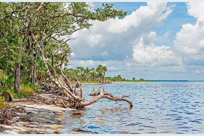 138 Planters Way, Port Saint Joe, FL 32456 - Photo 19