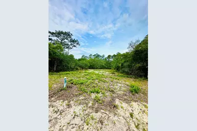117 Spoonbill Ct, Carrabelle, FL 32323 - Photo 1