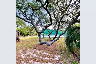 1405 Evodia Ct, Saint George Island, FL 32328 - Photo 23