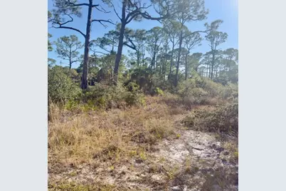 1405 Evodia Ct, Saint George Island, FL 32328 - Photo 5