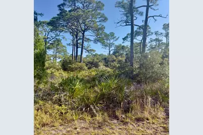 1405 Evodia Ct, Saint George Island, FL 32328 - Photo 3