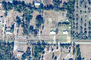 18799 NE Roy Golden Rd, Blountstown, FL 32424 - Photo 51